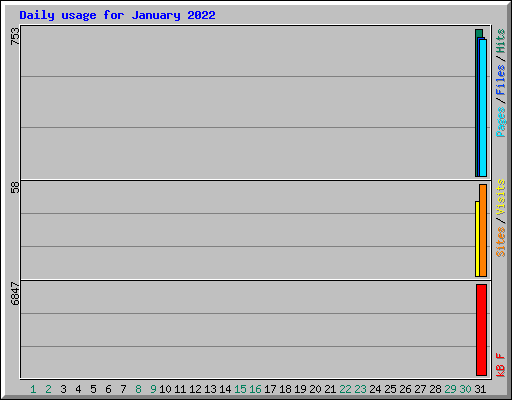 Daily usage for January 2022