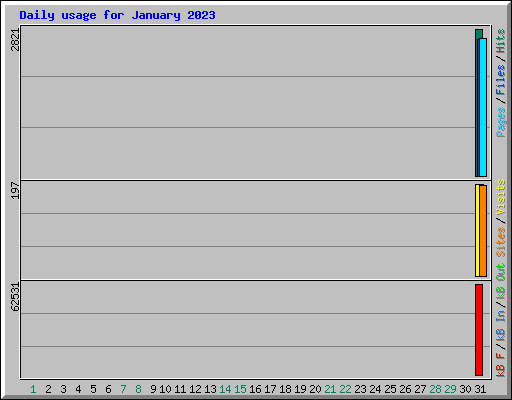 Daily usage for January 2023