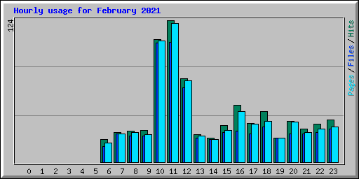 Hourly usage for February 2021