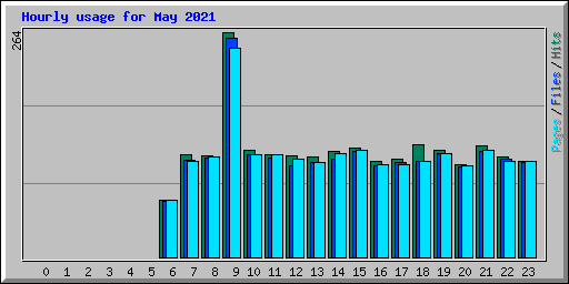 Hourly usage for May 2021