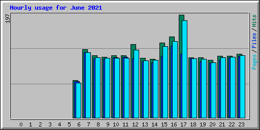 Hourly usage for June 2021