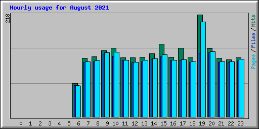 Hourly usage for August 2021