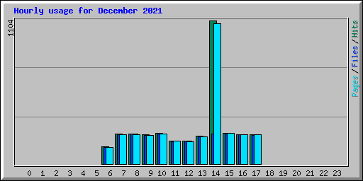 Hourly usage for December 2021