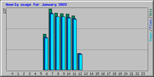 Hourly usage for January 2022