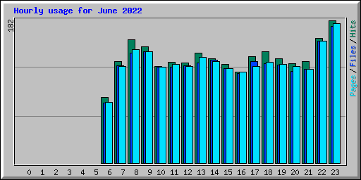 Hourly usage for June 2022