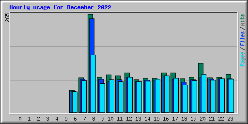 Hourly usage for December 2022