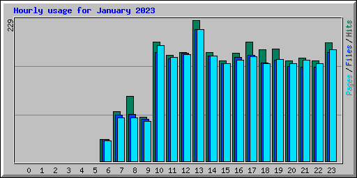 Hourly usage for January 2023